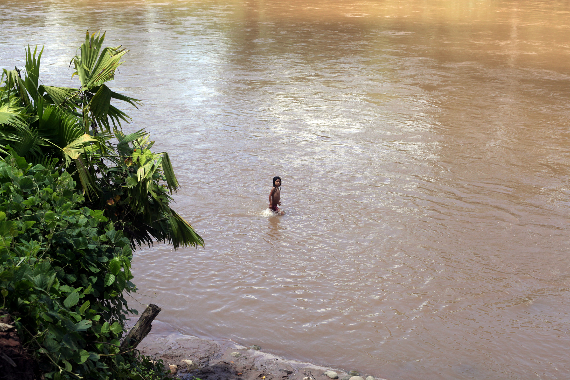 Cuenca del Paranapura, Balsapuerto, región Loreto - 2016