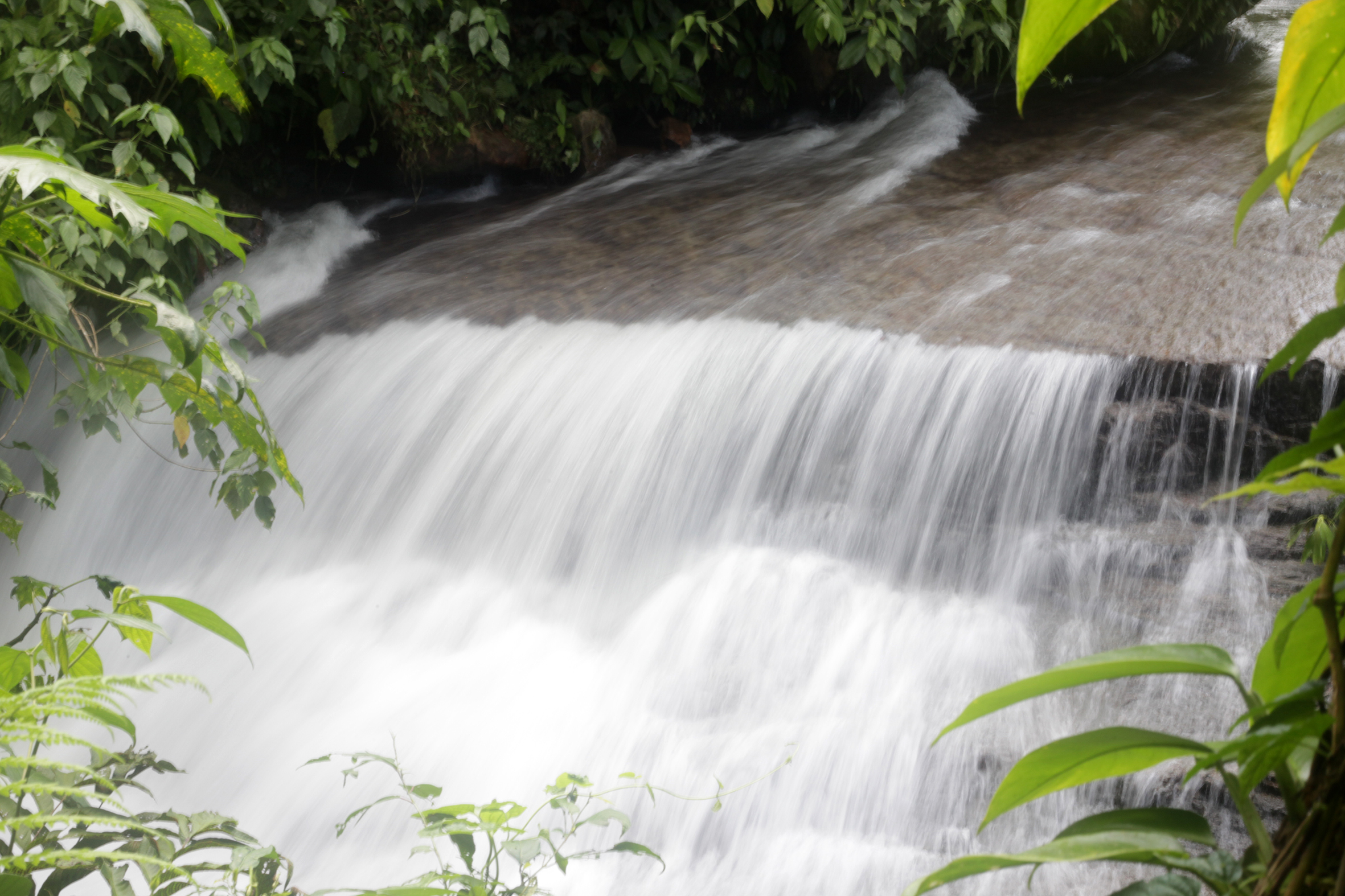 Caída de agua, Balsapuerto, región Loreto – 2016